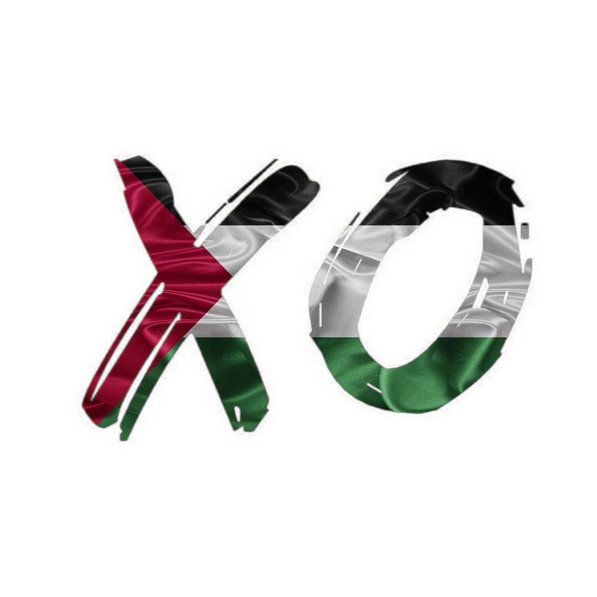 صور محل Xo أسيوط