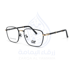 ZAY10003-11-2