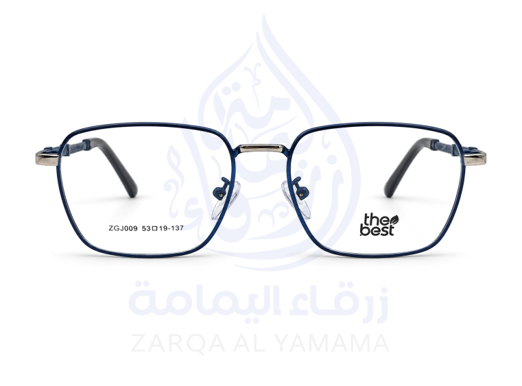 ZAY10003-16-1