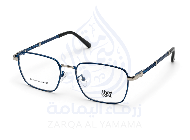 ZAY10003-16-4