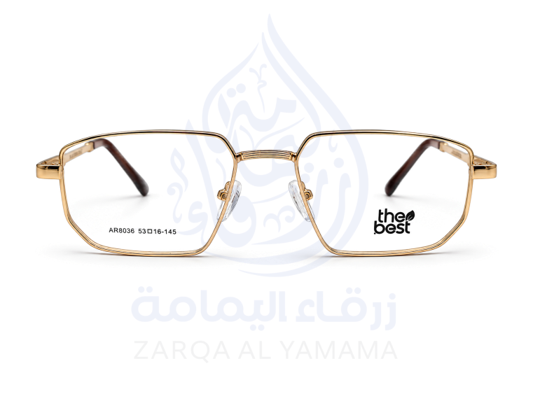 ZAY10003-17-1