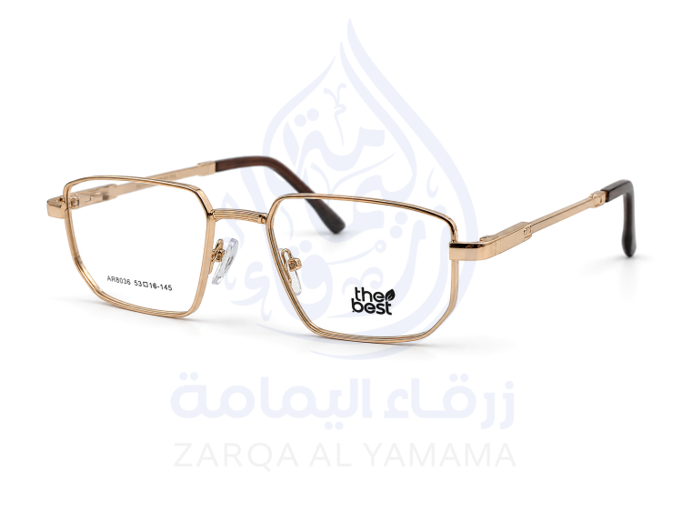 ZAY10003-17-2
