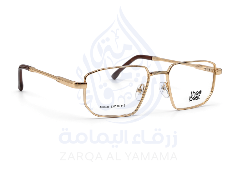 ZAY10003-17-3