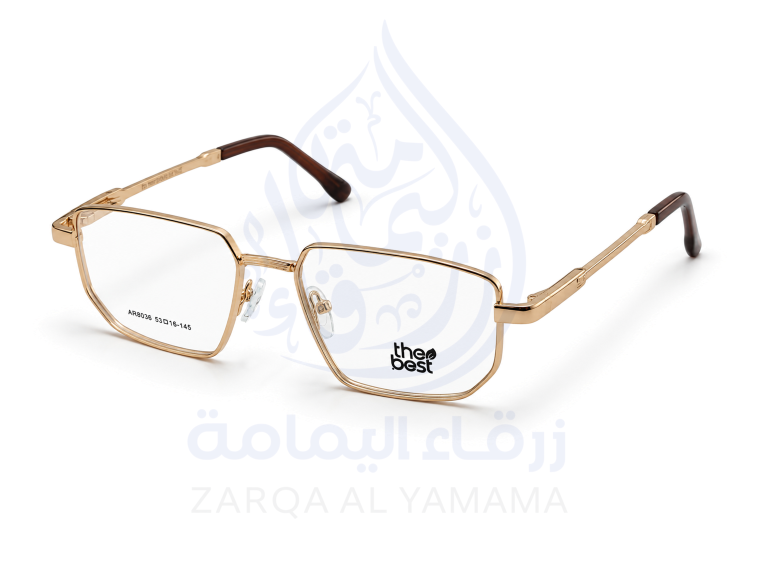 ZAY10003-17-4