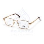 ZAY10003-17-4