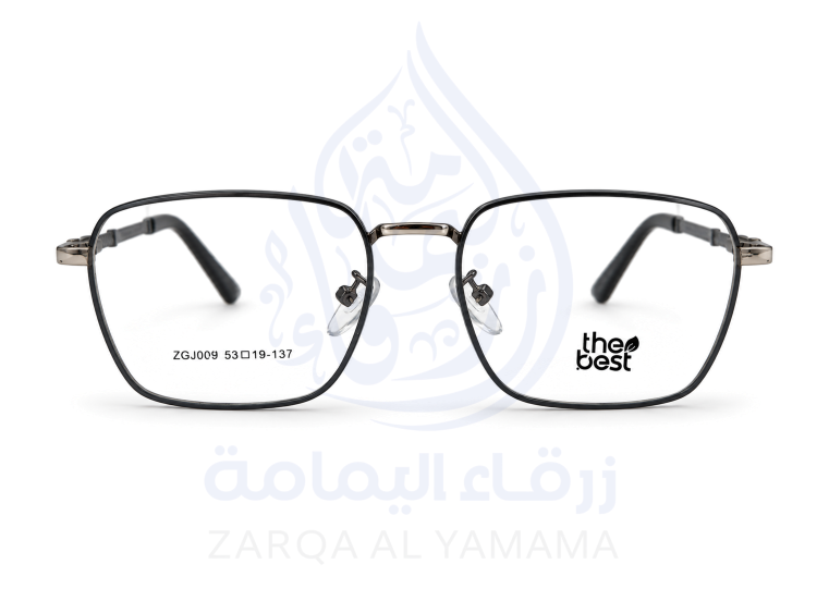 ZAY10003-2-1