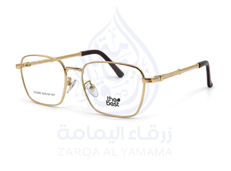 ZAY10003-24-3