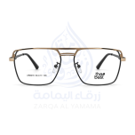 ZAY10003-6-1