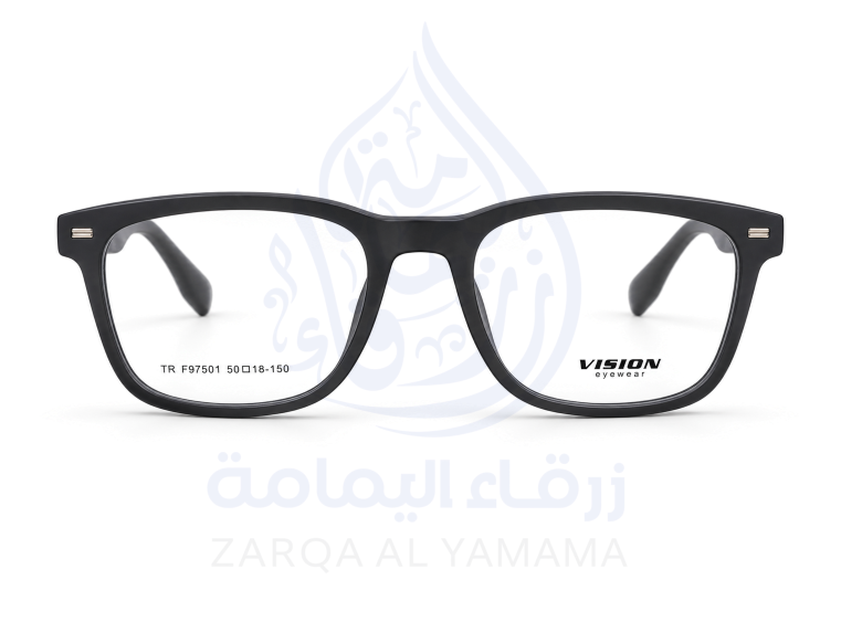 ZAY1004-1-1