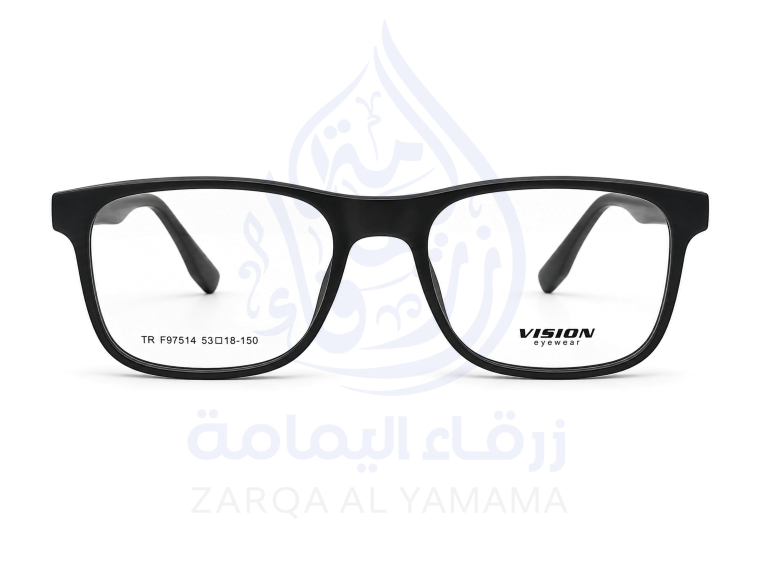 ZAY1004-12-1