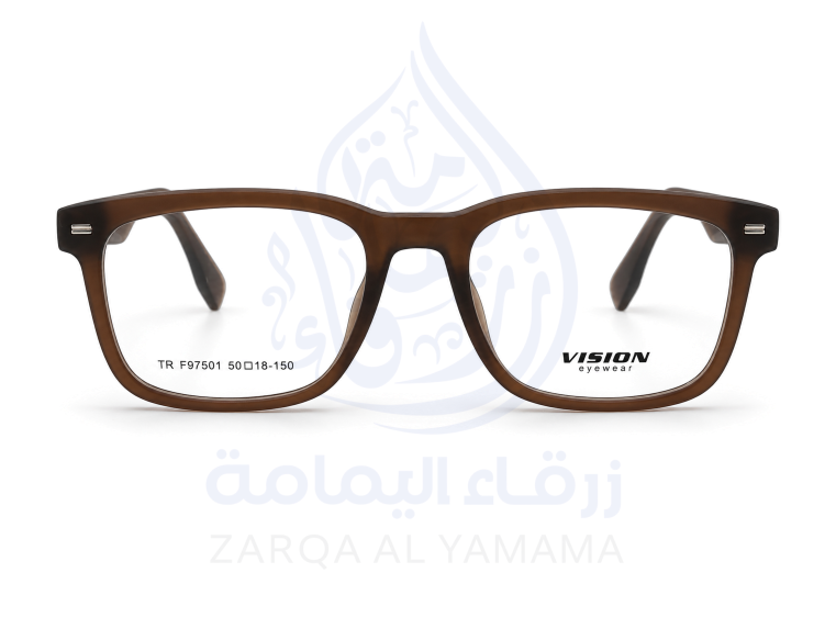 ZAY1004-19-1