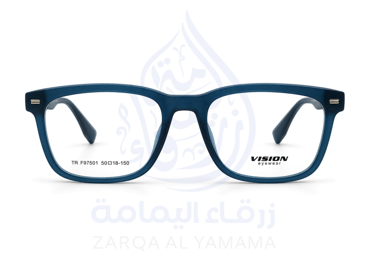 ZAY1004-20-1