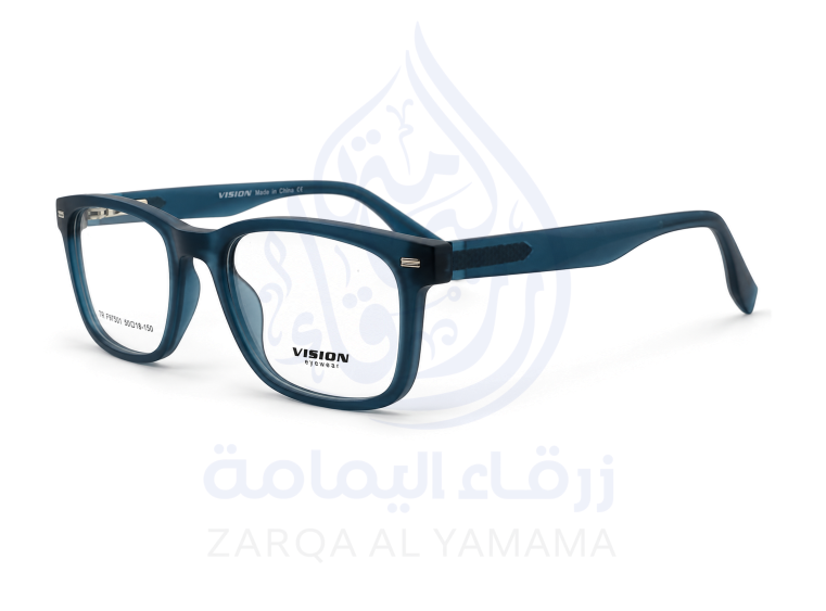 ZAY1004-20-2