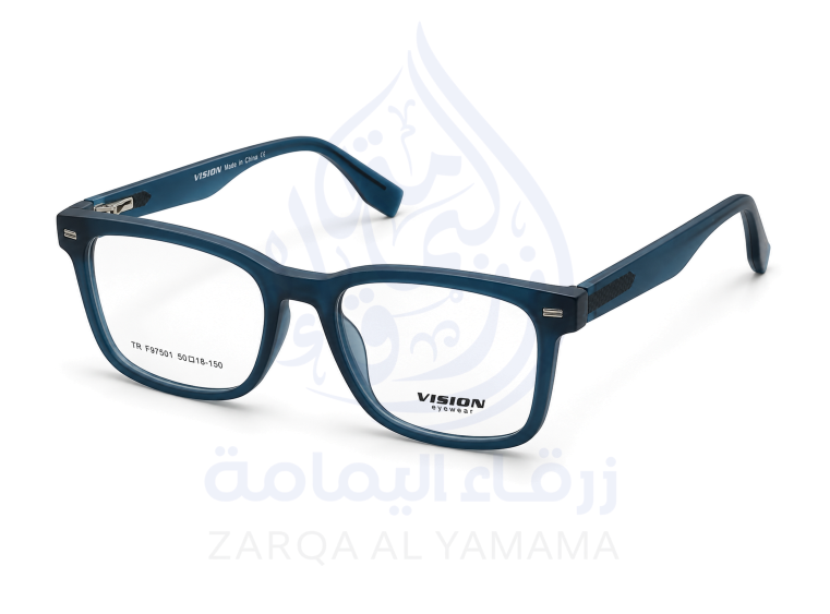 ZAY1004-20-4