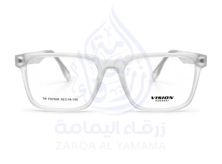 ZAY1004-3-1